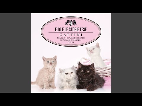 Video thumbnail for Uomini col borsello (Gattini Version)