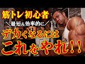 【筋トレ初心者】最短&効率的にデカくなるにはこれをやれ!