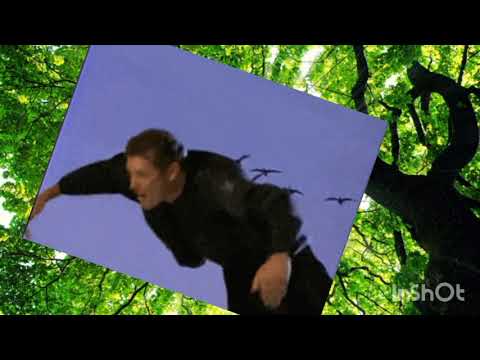 Letni_ Banger_fristaljo - SLIMFAT, JP