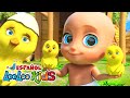 🐤🐥Los Pollitos Dicen Pio Pio - ¡Canciones Infantiles! LooLoo