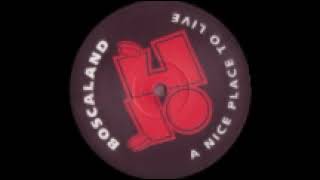 The men from del bosca - Vorsprüng,Dürch,Techno (Boscaland recordings 03) 1993. A1: Magnetia.
