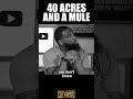 40 Acres & A Mule