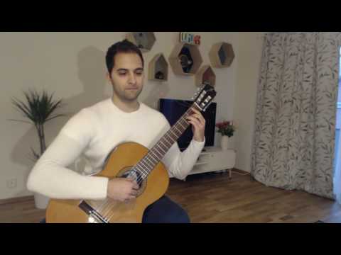 The Fields of Ard Skellig - The Witcher 3: Wild Hunt on Guitar