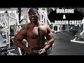 BUILDING A BIGGER CHEST | Failing Reps | The Return Ep. 11