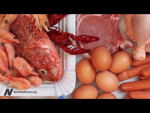 How to Prevent Alzheimer s With Diet