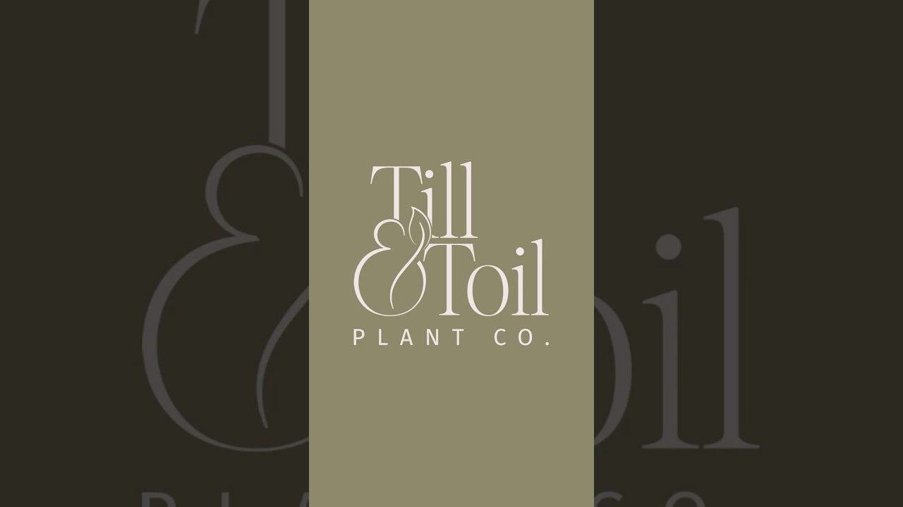 Icons are my absolute FAVOURITE to design #design #logo #branding #nature #icondesign #brand