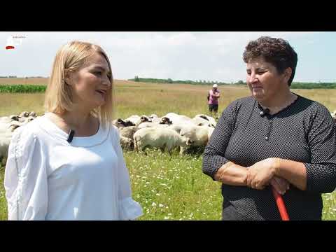 Anca Radu, fermier comuna Şura Mare, judeţul Sibiu - Gust şi Tradiţie