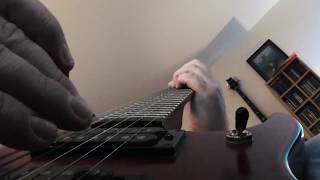 Ten Foot Pole - Plastic guitar cover