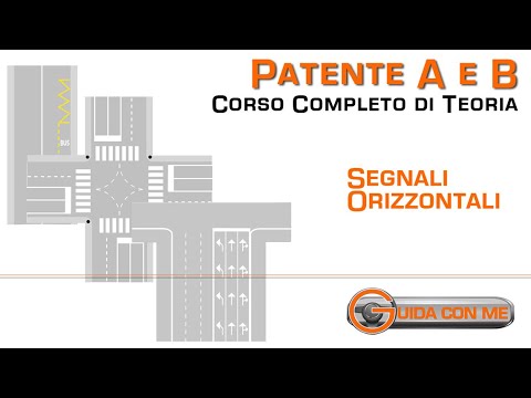 Horizontal signals and markings on the roadway - Driving licence theory B
