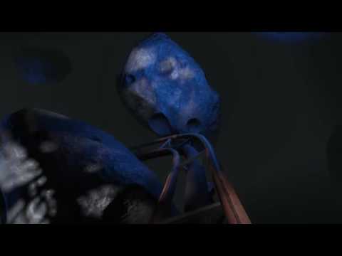 Nuka World roller coaster fully operational