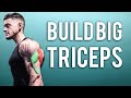 The Best TRICEPS Workout For Mass