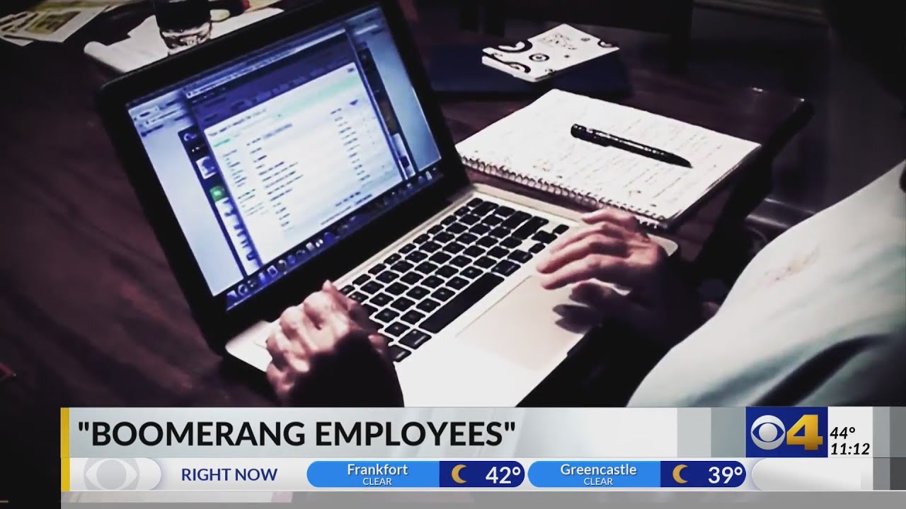 'Boomerang employees' try new careers during pandemic, but still return to old jobs