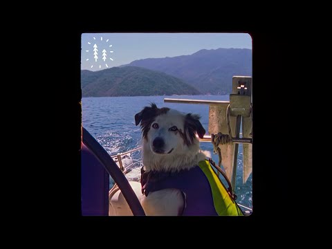 Mexico (feat. Surfaces) - Goth Babe