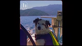 Cover art for mexico