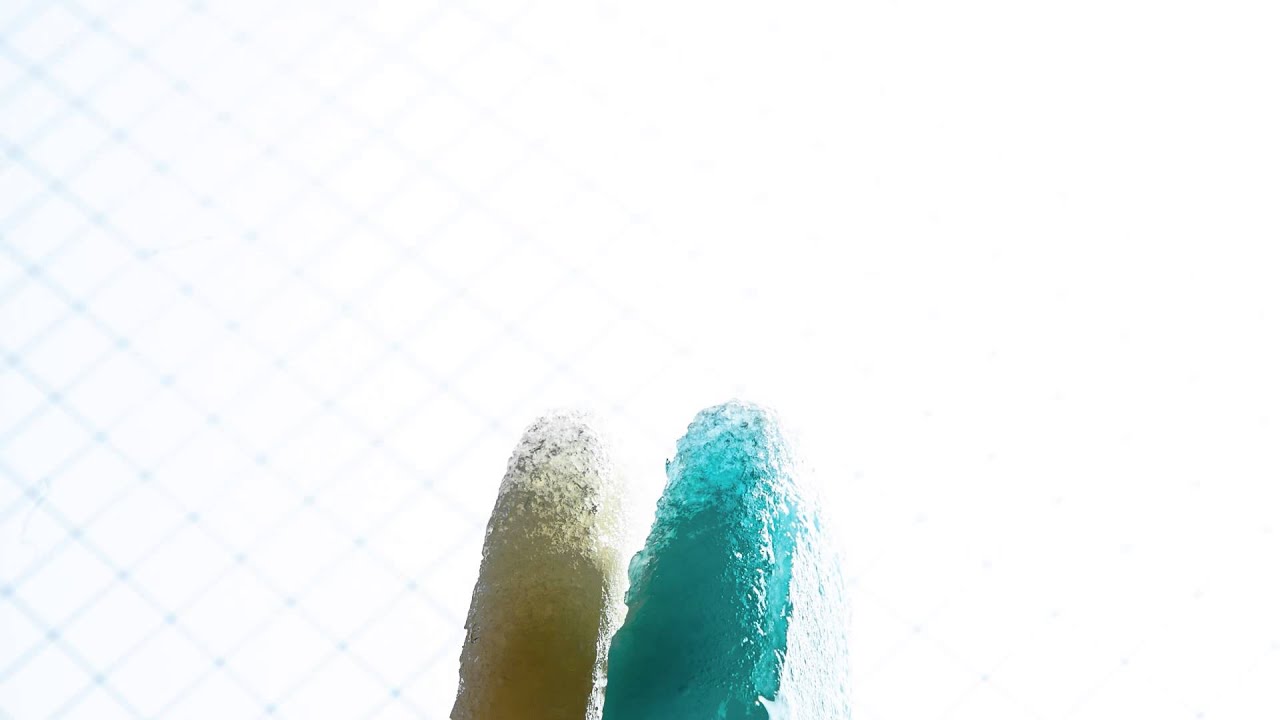 Aug. 24, 2014 (Sun.) Comparing Height of Ice Lollies