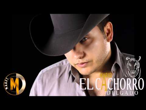 Mario "El Cachorro" Delgado - Mix De Corridos Nuevos