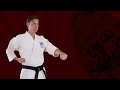 Choko zuki  - Bacis - Exercise - Online education - Shotokan Karate-Do JKA