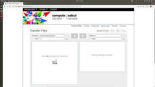 Transferring files with Globus