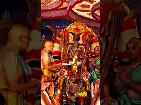 🙏 Lord Venkateshwara on Garuda, showering blessings. 🦅✨ #Venkateshwara #GarudaVahanam#shorts#viral