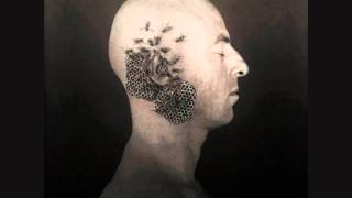 Björk, Tricky - Headphones (Digital Warfare&#39;s Clip Mix)