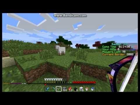 The Man With a Plan (My Fight With Huahwi)