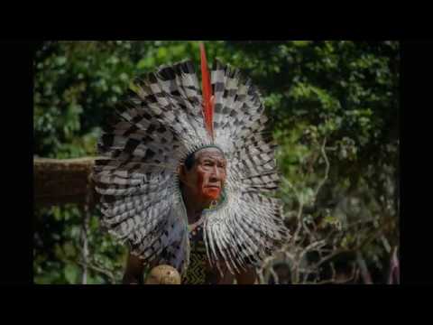 NAI NÏ - Yawakumã Shanenawa