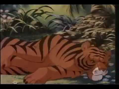 La più grande avventura: le storie della Bibbia - La Creazione