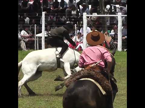 Grupas del Domingo BIEN CURTIDO en la Final de Villaguay Entre Rios