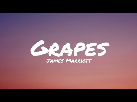 Grapes ▪︎ James Marriott
