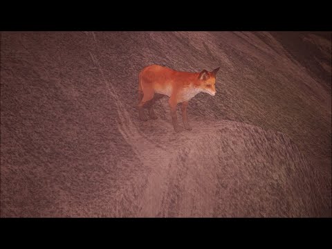 Unreal Fox Engine 4