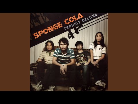 All We Need - Sponge Cola