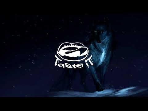 Allen Mock x Chow Chow - Wolf