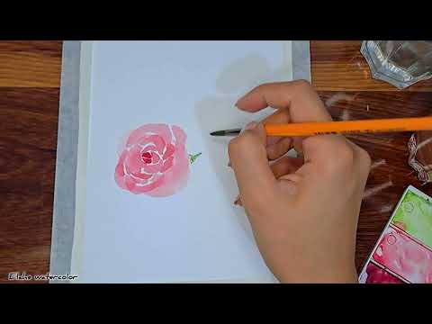 flower watercolor, rose flower 🌹