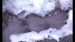 So treiben wir den Winter aus