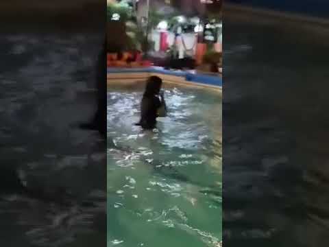 SPLXT スプリット -