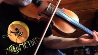 Sally Goodin (Missouri fiddle tune)