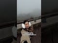 Taiwan Minivlog Hehuanshan Qingjing Farm Old England Manor
