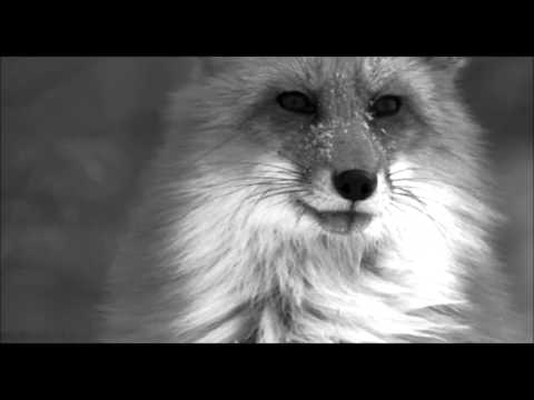 LUUUL-Night Love (Ft. Loumar)