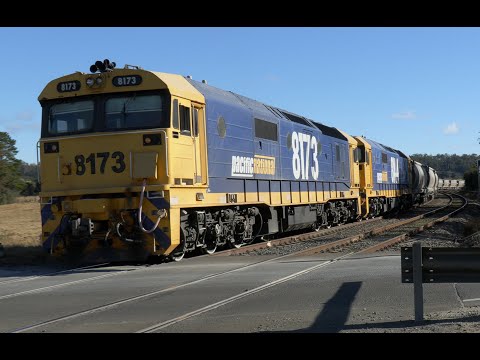 Trains on the South in 2019 featuring PN Coal and Cement in 4K