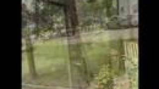 Something Worth Leaving Behind