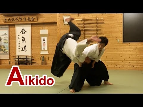 Aikido Soft and beautiful movement - Shirakawa Ryuji shihan
