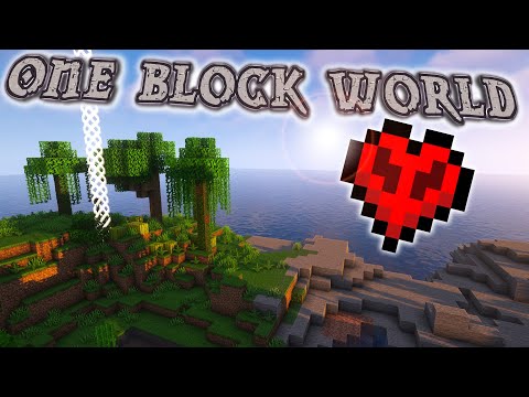 Il confine si espande solo quando ottengo un nuovo blocco in Minecraft Hardcore Survival