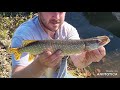 Video Thumbnail for Maxing Out A Retro Fishing Rod