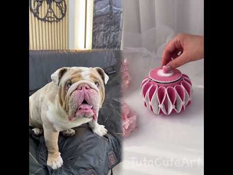 Nunca pensé tenerle que explicarle esto a Polar…🥺🌈 #xavimonsi #polar #foryou  #funny