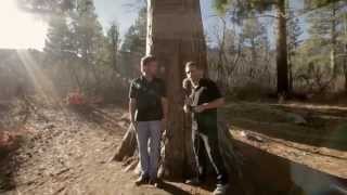 preview picture of video 'No Filter: Where the Redwood grows in Dixie'