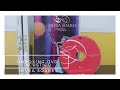 Unboxing DVD Acústico Nívea Soares