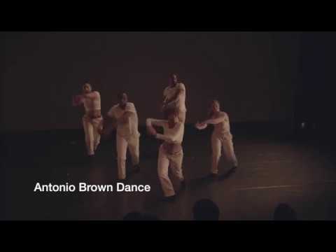 The Evening of Contemporary Dance