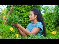 Winter Melon In All Seasons Delicious Recipes For Any Time