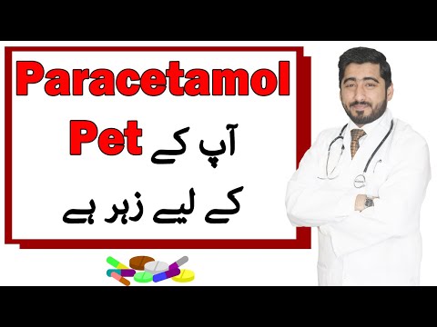 Paracetamol Toxicity in Dogs / Cats - Side effects  / Animalia Dot Pk / Vet Furqan Younas