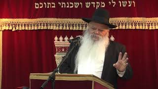 רבי יוחנן וריש לקיש | קצרים | הרב דניאל זר